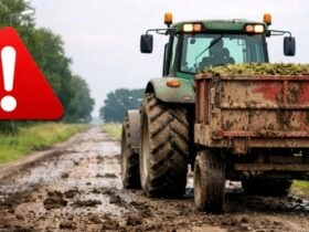 651900388_910519745287553_661688334437363060_n